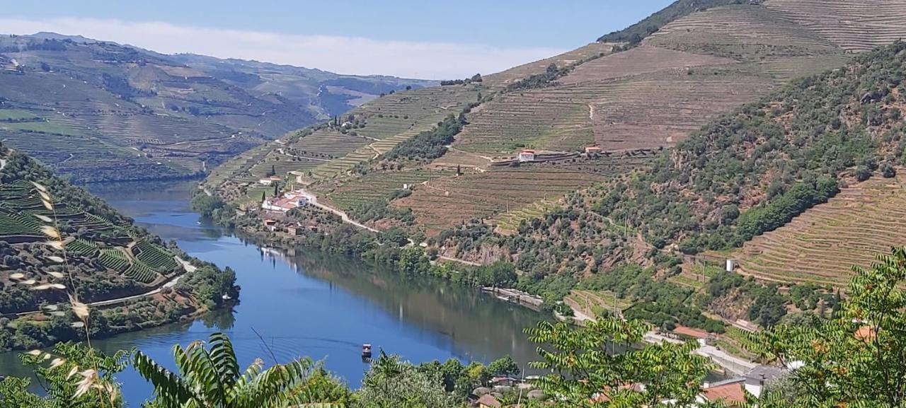 Casal de Loivos Casa Do Jornaleiro - Douro - Quinta Da Cabridaヴィラ エクステリア 写真